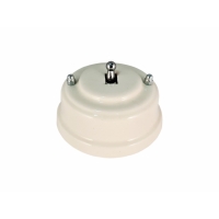 Выключатель однорычажковый, цвет bianco (белый), тумблер серебро